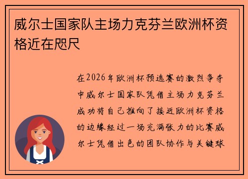 威尔士国家队主场力克芬兰欧洲杯资格近在咫尺